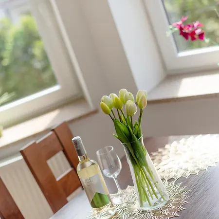 Apartment Gucio 200m Do Plazy