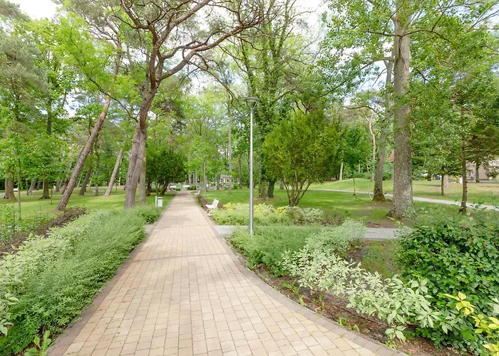 Gucio 200m Do Plazy Dziwnow