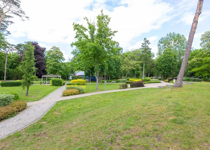 Gucio 200m Do Plazy * Dziwnow